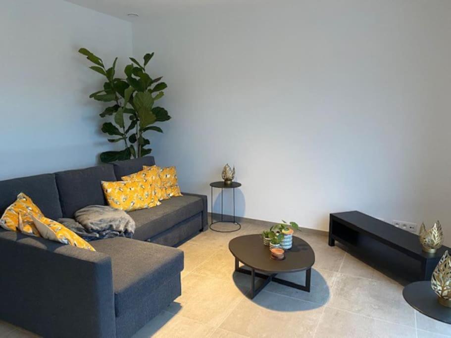 Ruim Gezellig Appartement Звалм Экстерьер фото